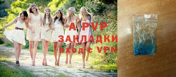 стафф Ладушкин