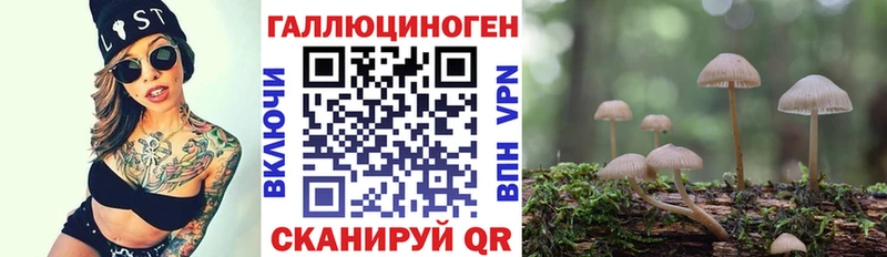 Галлюциногенные грибы Psilocybe  Купить  Ковдор 